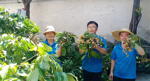 摘一顆龍眼，品一份團圓，謝一次饋贈 | 廣有五金&東莞合頁?